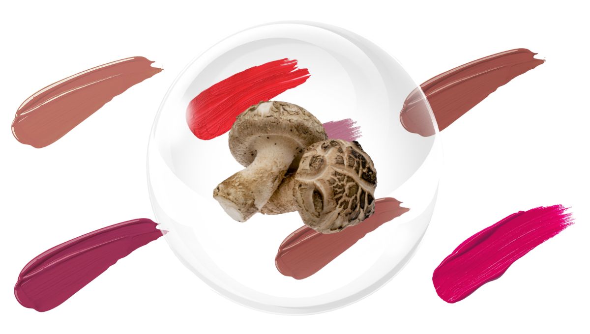 Shiitake Mushroom